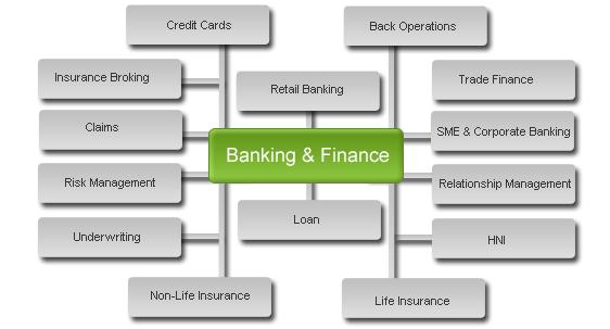 ANM Consultants Banking Finance