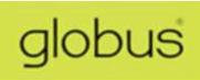 ANM Consultants Globus logo