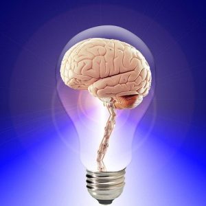 Intelligent Data Mesh Intelligent Data Mesh